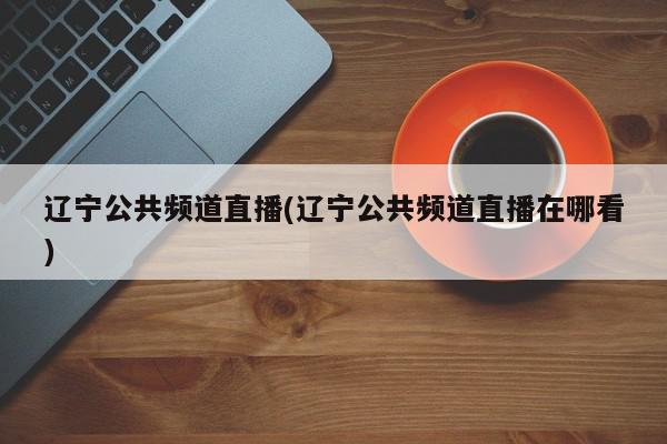 辽宁公共频道直播(辽宁公共频道直播在哪看)