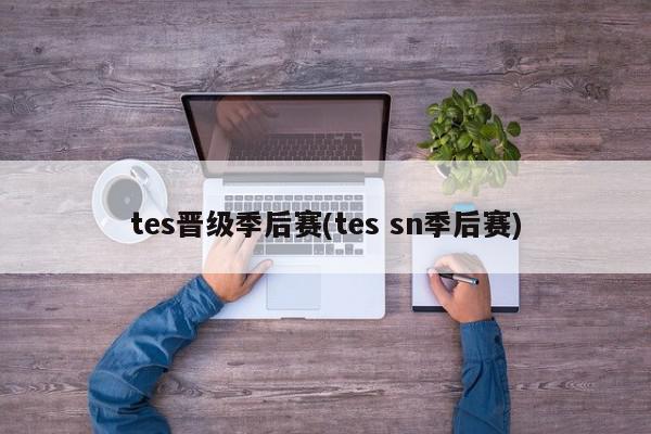 tes晋级季后赛(tes sn季后赛)