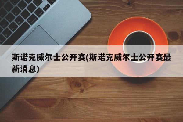 斯诺克威尔士公开赛(斯诺克威尔士公开赛最新消息)