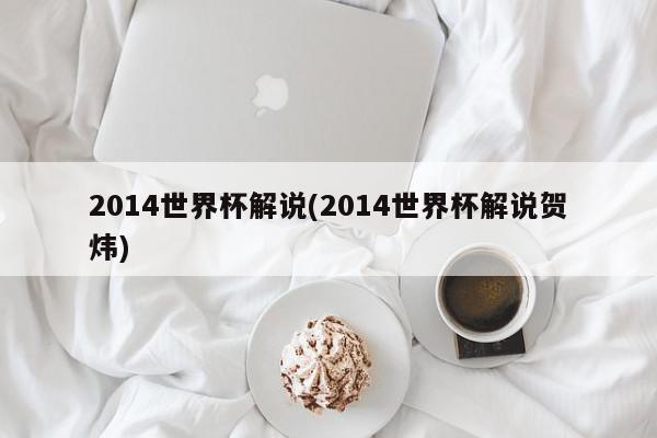 2014世界杯解说(2014世界杯解说贺炜)