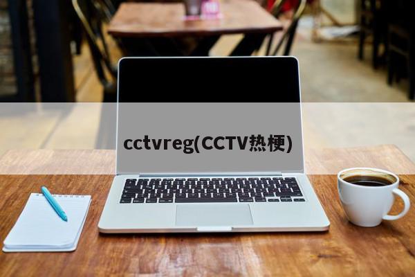 cctvreg(CCTV热梗)