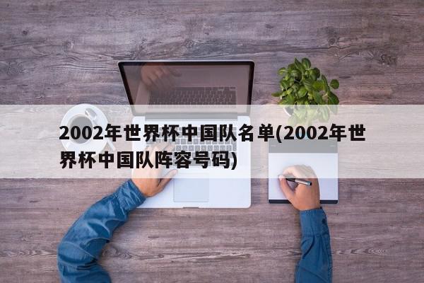 2002年世界杯中国队名单(2002年世界杯中国队阵容号码)