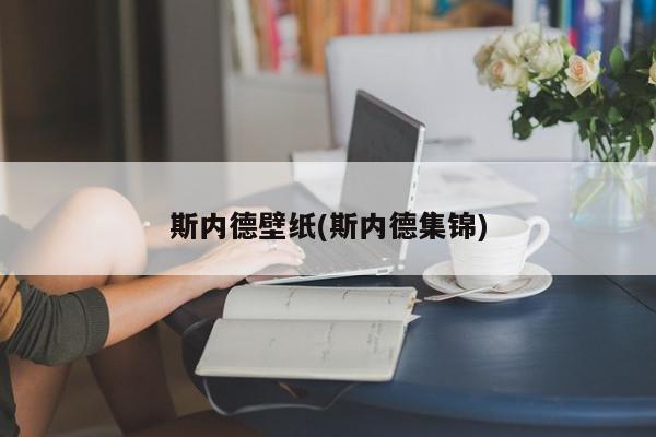 斯内德壁纸(斯内德集锦)